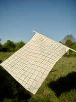 Load image into Gallery viewer, NEW Trellis: Blue and yellow
